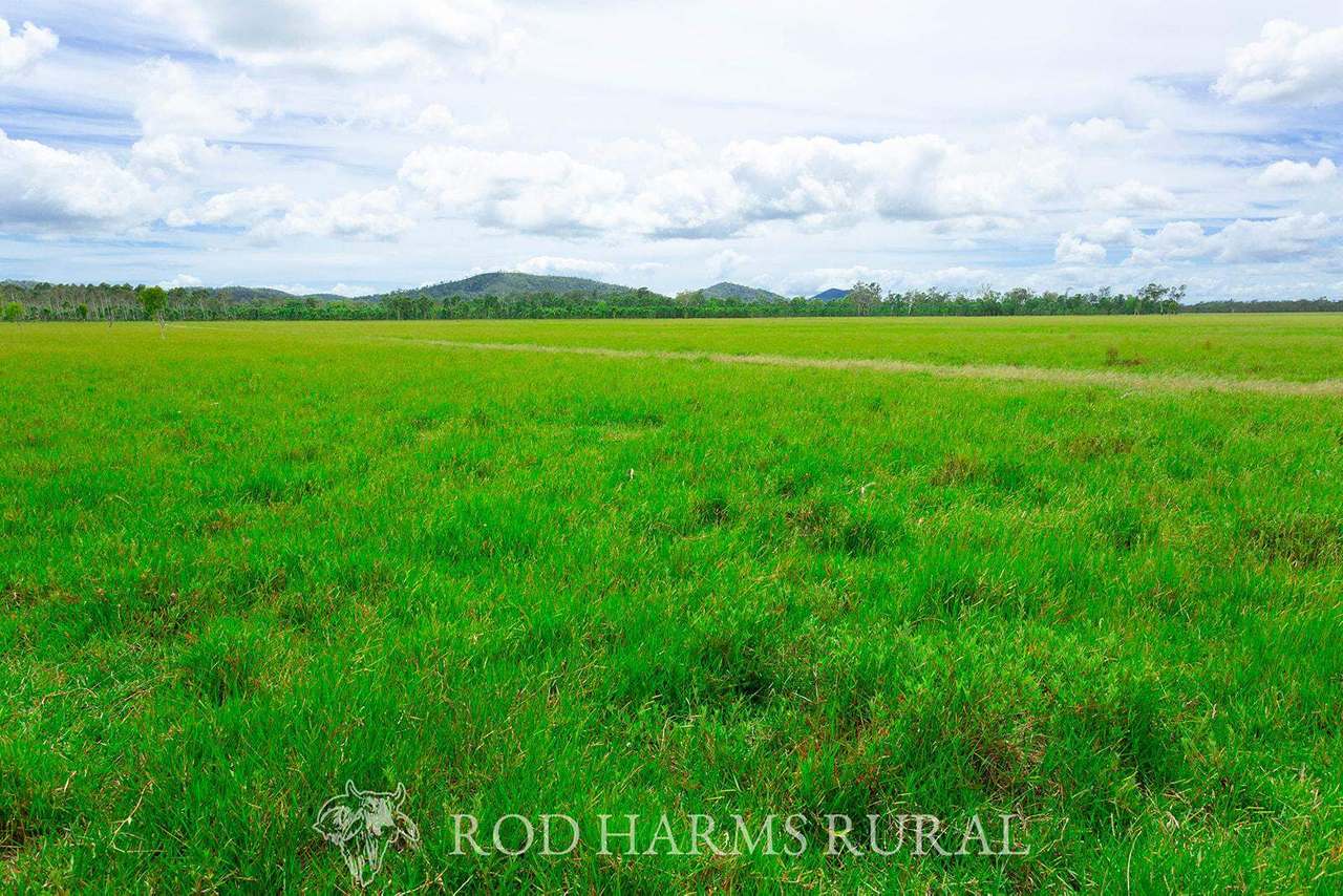 430 Lake Mary Road, 15 minutes from Yeppoon Auction by Farmbuy.com - image 18