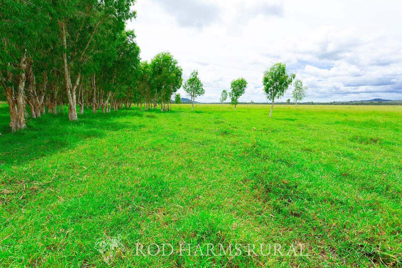 430 Lake Mary Road, 15 minutes from Yeppoon Auction by Farmbuy.com - image 16