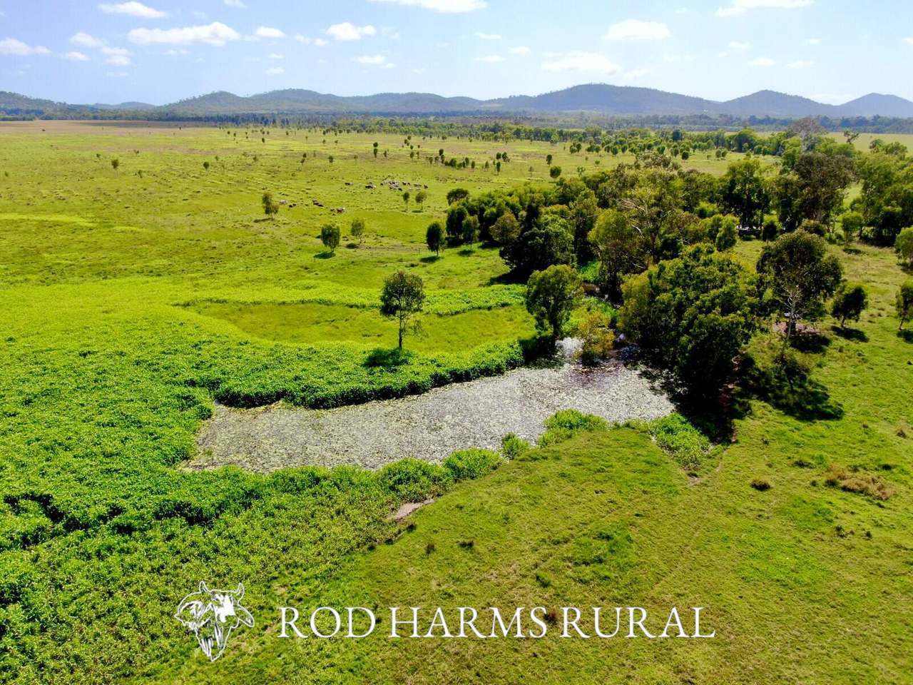 430 Lake Mary Road, 15 minutes from Yeppoon Auction by Farmbuy.com - image 37