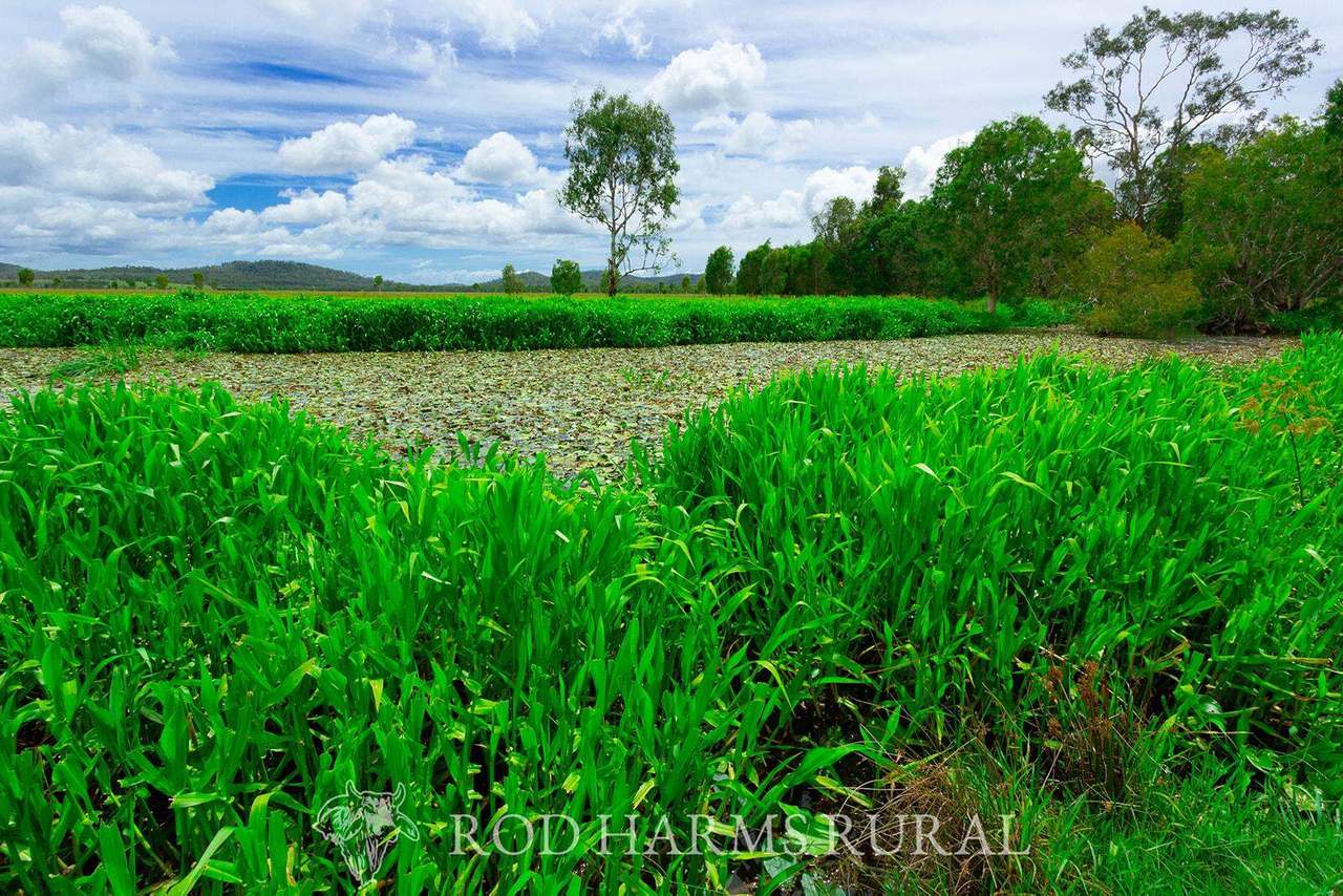 430 Lake Mary Road, 15 minutes from Yeppoon Auction by Farmbuy.com - image 15