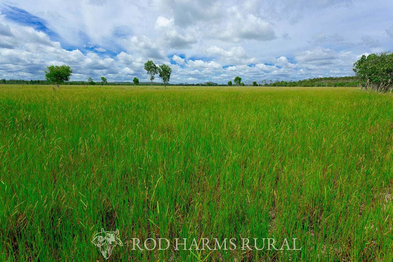 430 Lake Mary Road, 15 minutes from Yeppoon Auction by Farmbuy.com - image 2