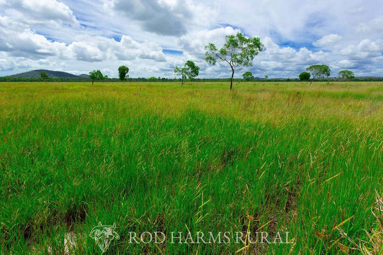 430 Lake Mary Road, 15 minutes from Yeppoon Auction by Farmbuy.com - image 6