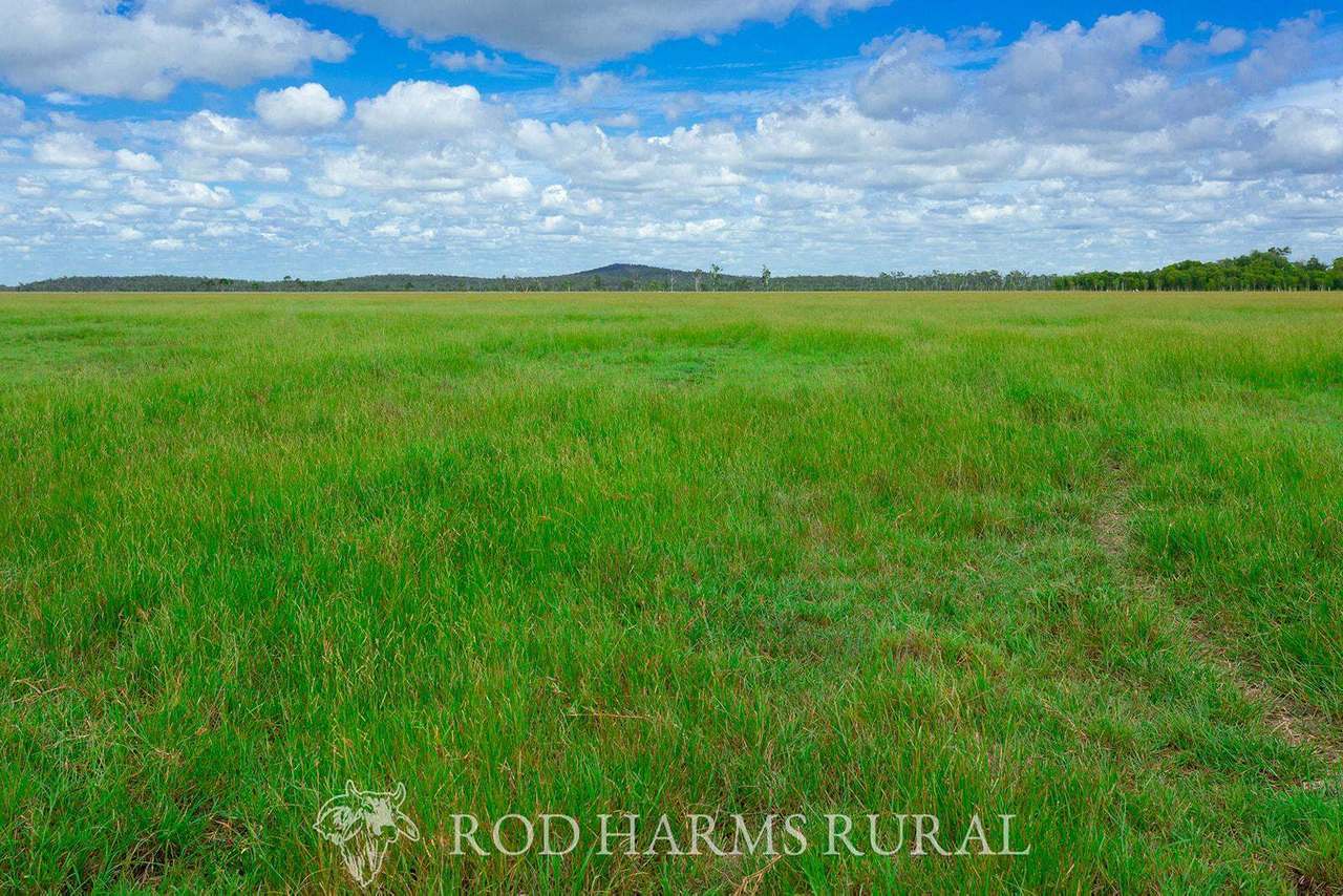 430 Lake Mary Road, 15 minutes from Yeppoon Auction by Farmbuy.com - image 27