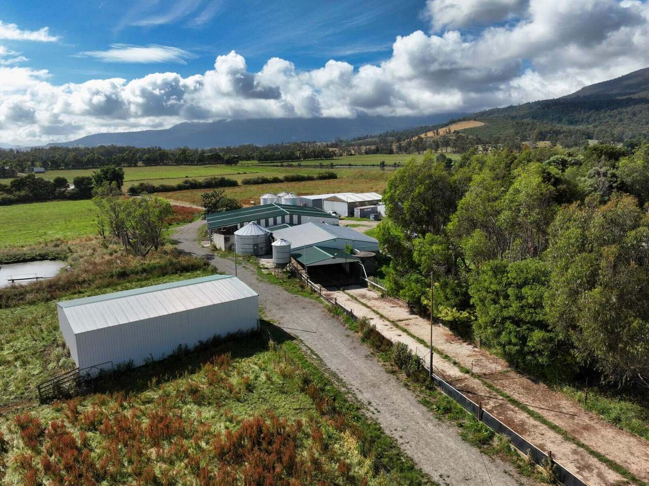 145 Fernleigh Road, Caveside Sold by Farmbuy.com - image 11