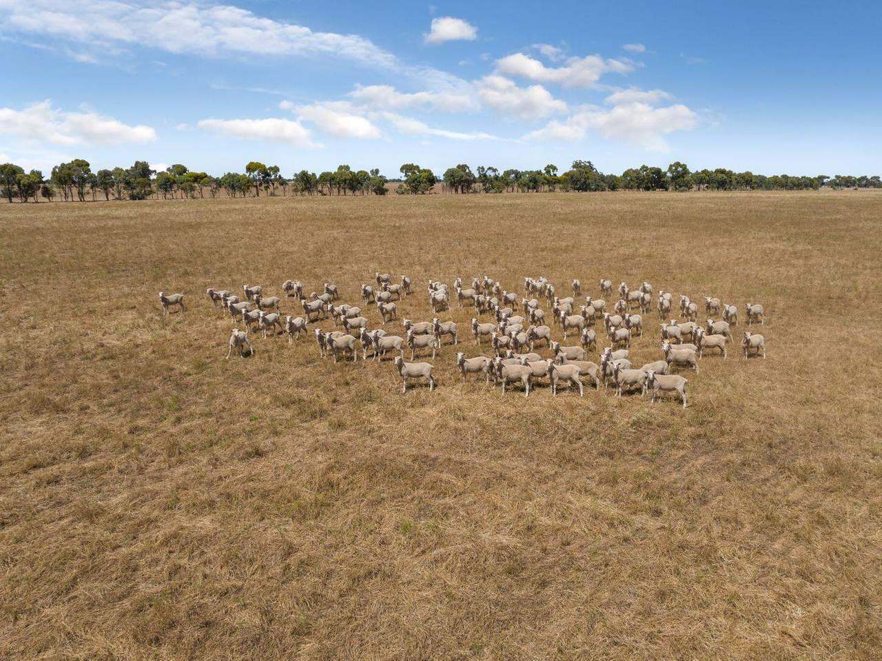 298 Yarrawalla West Road, Yarrawalla For Sale by Farmbuy.com - image 4