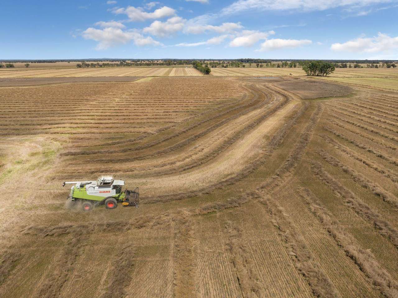 298 Yarrawalla West Road, Yarrawalla For Sale by Farmbuy.com - image 3