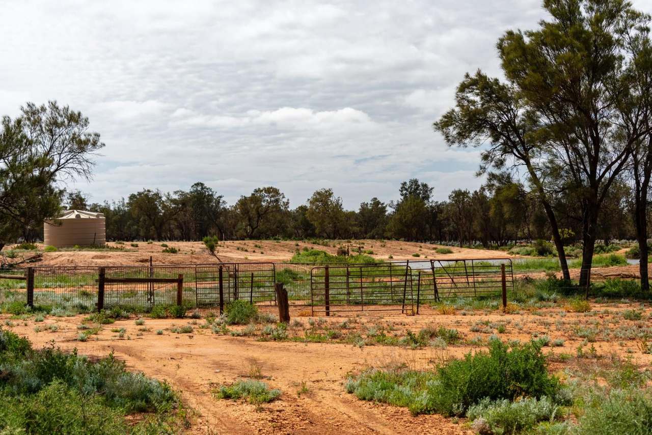 2543 Koomooloo Road, Old Koomooloo, via Burra or Morgan Auction by Farmbuy.com - image 9