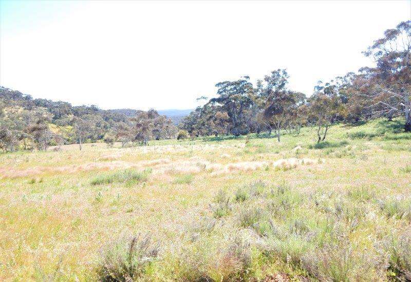 Lot 1 Jones Plain Road, Shannons Flat NSW 2630 [313084] Lifestyle Farms NSW