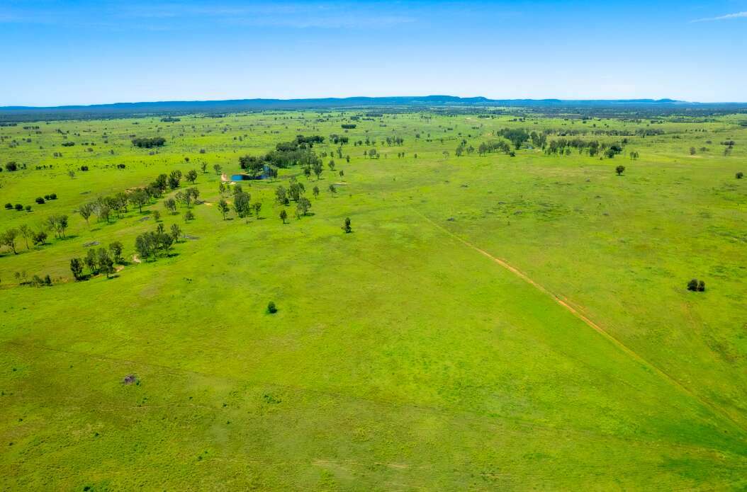 Roundstone, Moura Sold by Farmbuy.com - image 10