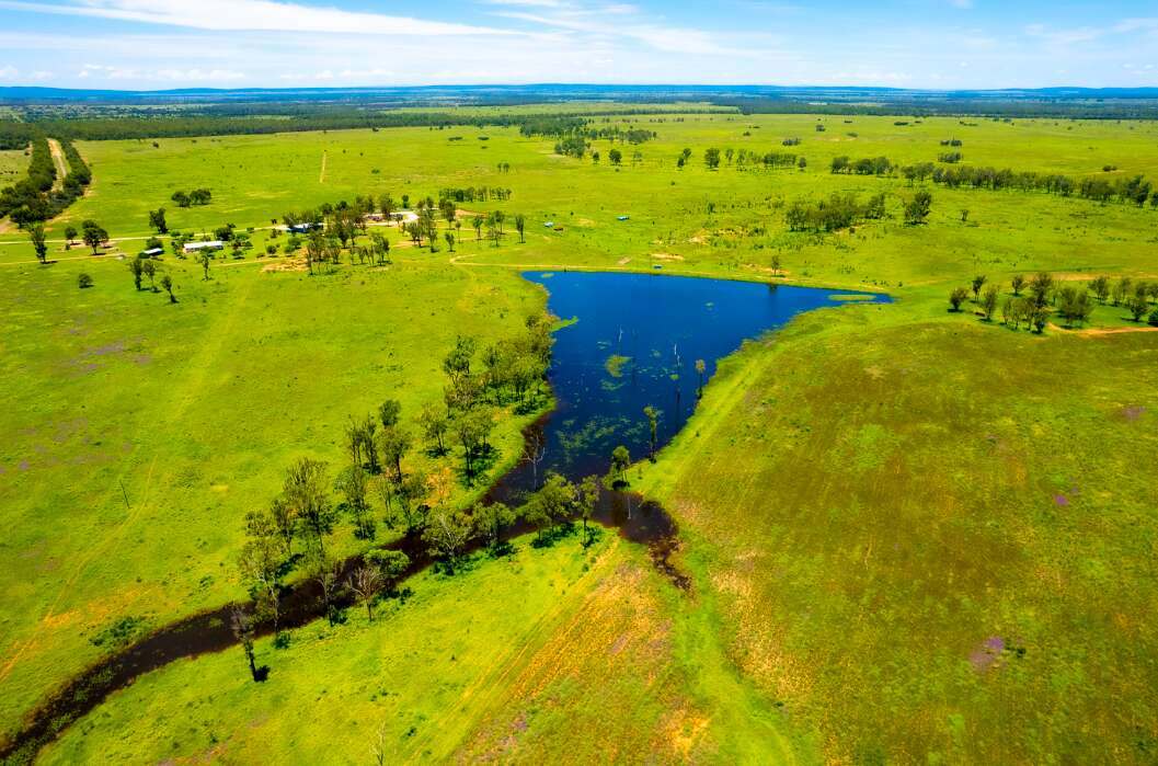 Roundstone, Moura Sold by Farmbuy.com - image 2