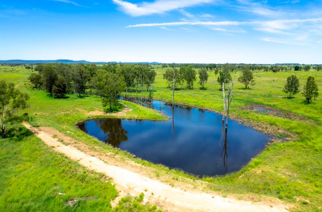 Roundstone, Moura Sold by Farmbuy.com - image 14