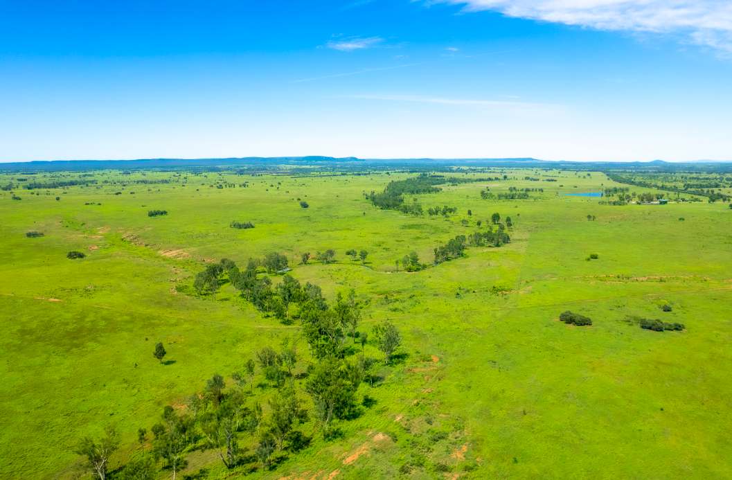 Roundstone, Moura Sold by Farmbuy.com - image 7