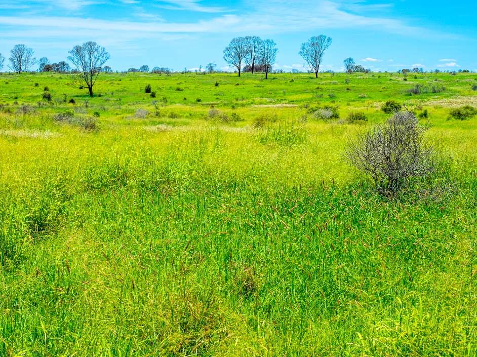 Roundstone, Moura Sold by Farmbuy.com - image 12