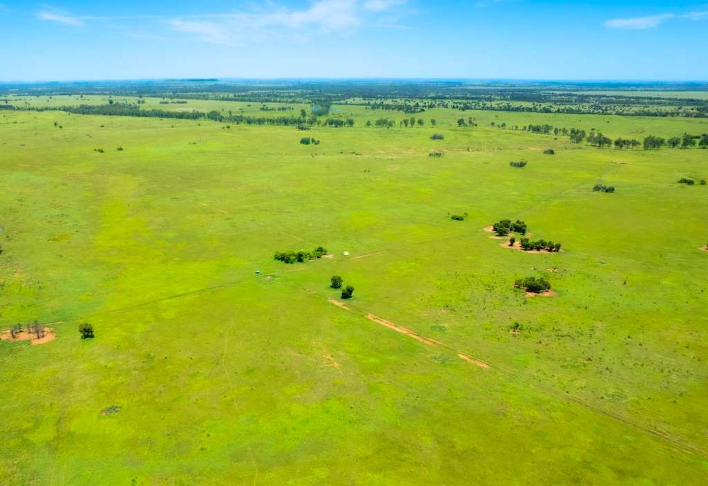 Roundstone, Moura Sold by Farmbuy.com - image 3