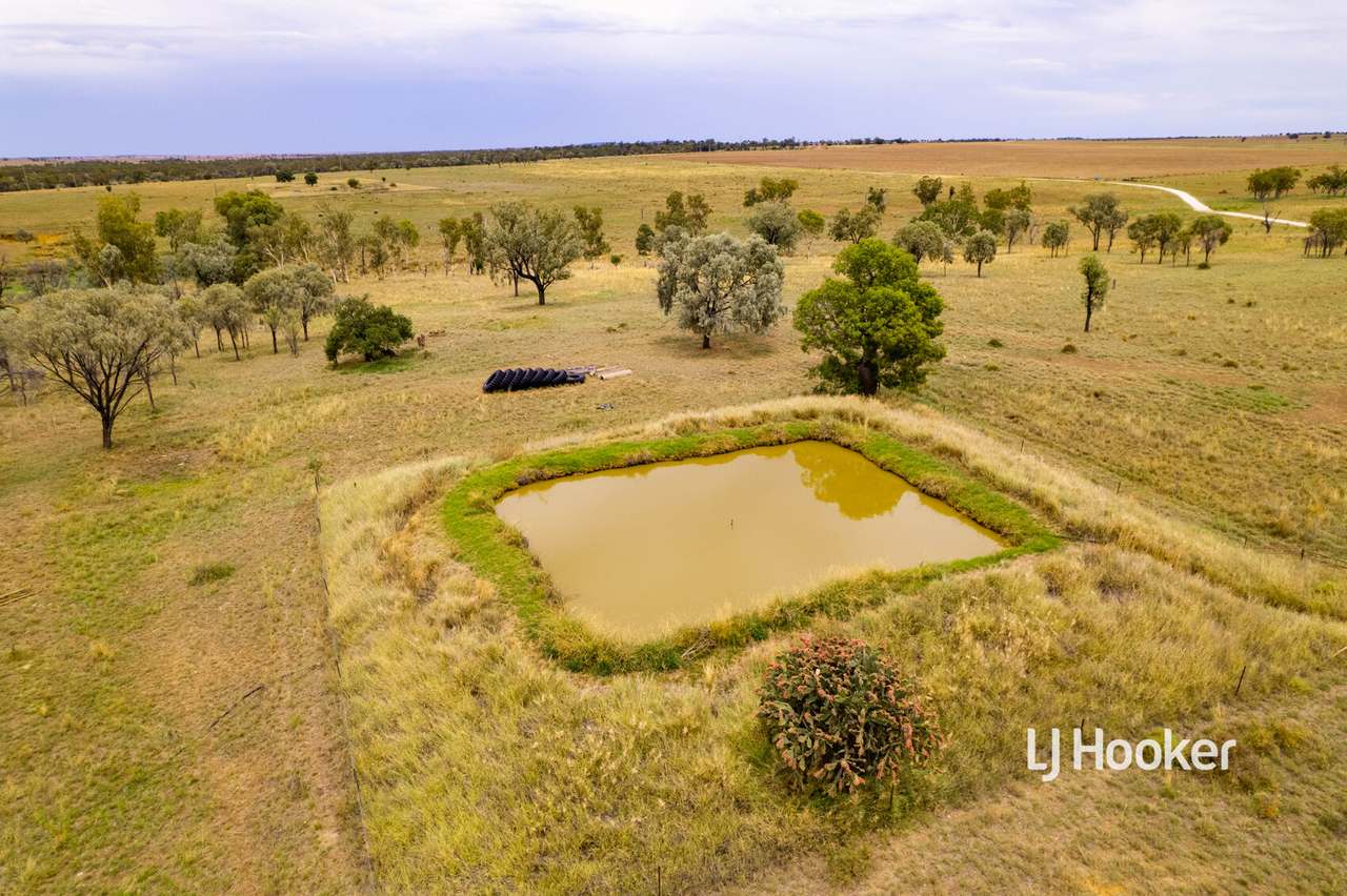 1408 Bindango Road, Roma Sold by Farmbuy.com - image 19