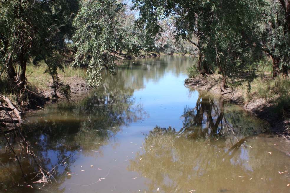 6480 Avington Road, BLACKALL, QLD 4472, Blackall For Sale by Farmbuy.com - image 2