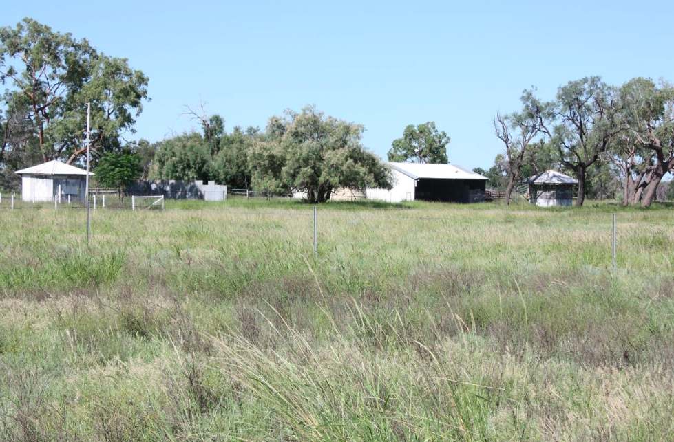 6480 Avington Road, BLACKALL, QLD 4472, Blackall For Sale by Farmbuy.com - image 10
