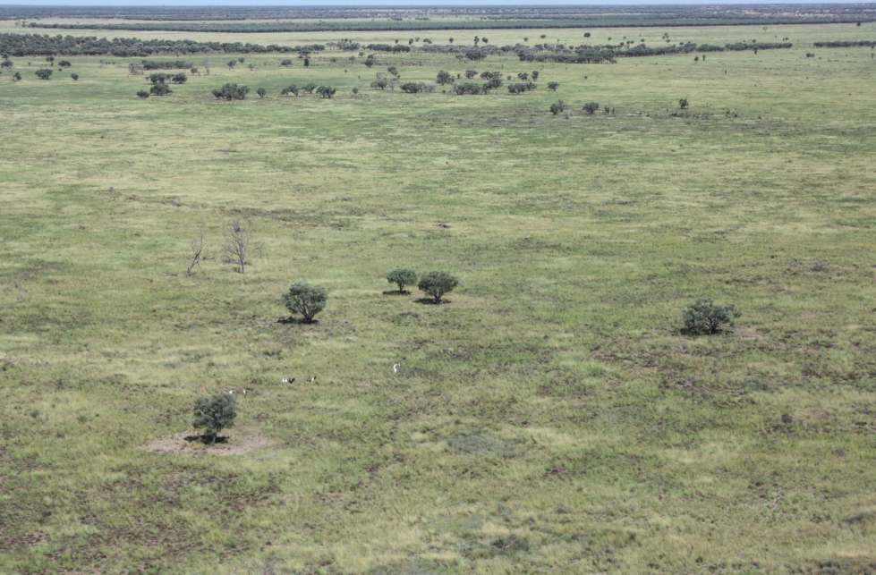 6480 Avington Road, BLACKALL, QLD 4472, Blackall For Sale by Farmbuy.com - image 21