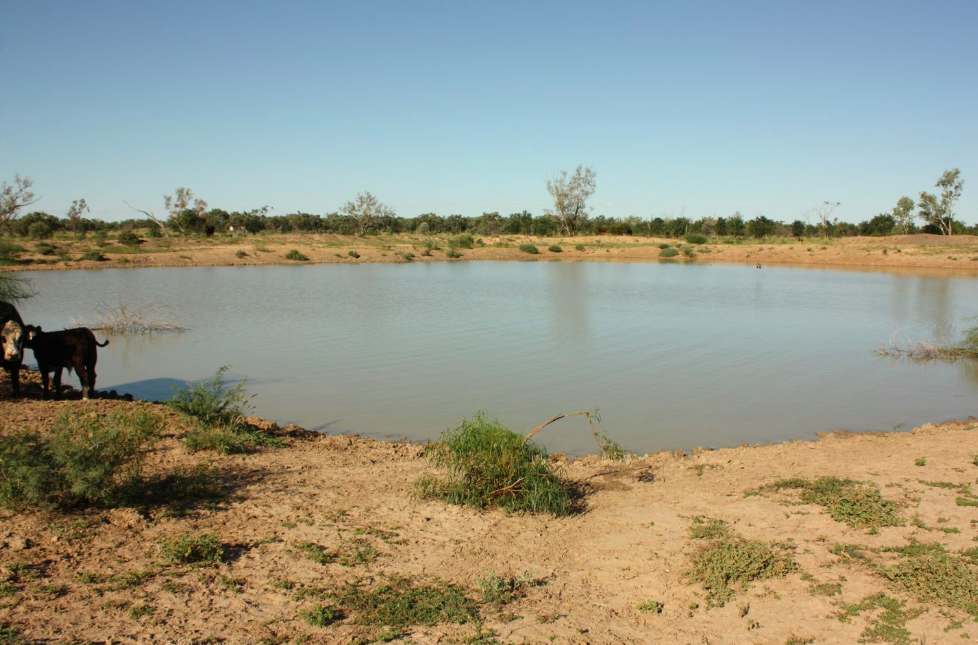 6480 Avington Road, BLACKALL, QLD 4472, Blackall For Sale by Farmbuy.com - image 15