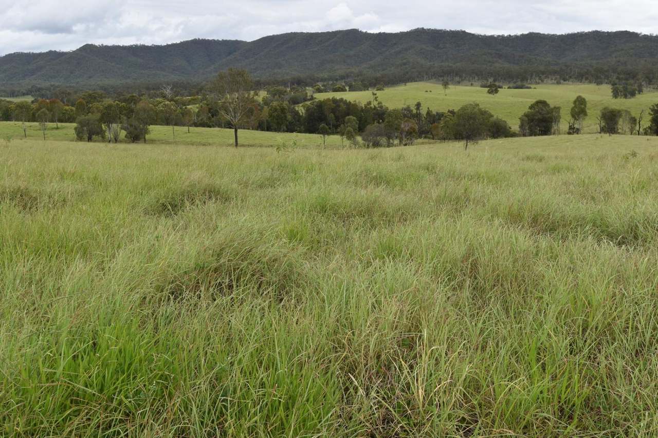 181 Kantaka Road, Molangul, Gin Gin Sold by Farmbuy.com - image 2