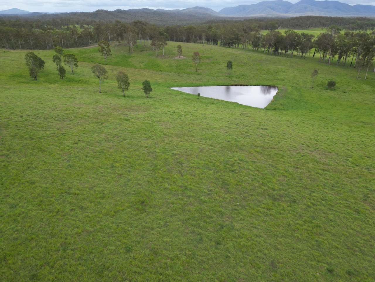 181 Kantaka Road, Molangul, Gin Gin Sold by Farmbuy.com - image 4