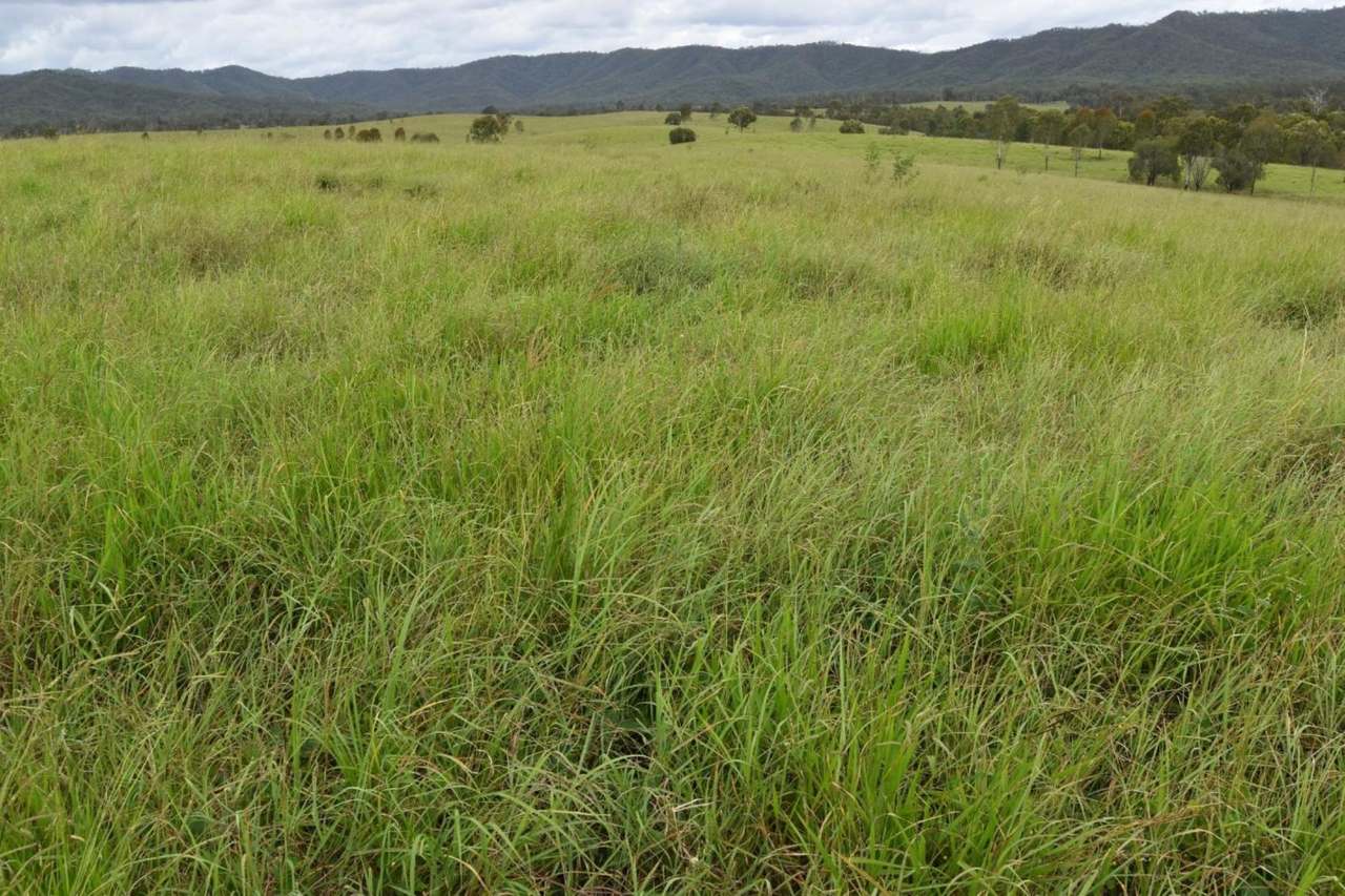 181 Kantaka Road, Molangul, Gin Gin Sold by Farmbuy.com - image 7
