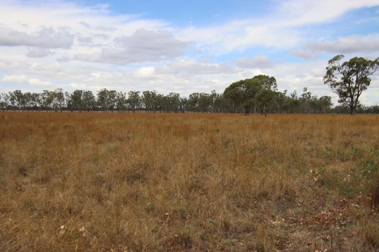 2617 Millmerran Leyburn Road, Tummaville Sold by Farmbuy.com - image 11
