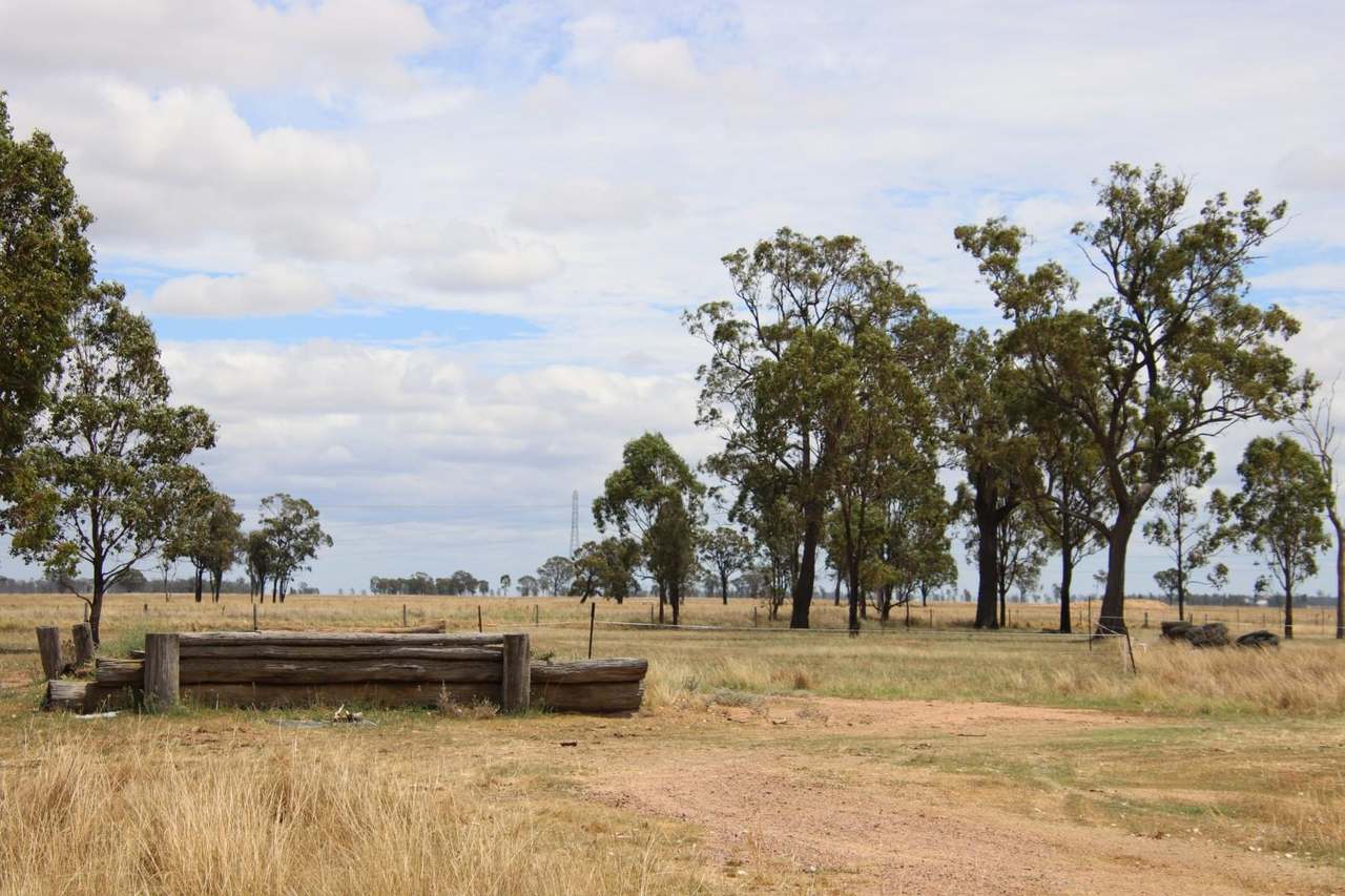 2617 Millmerran Leyburn Road, Tummaville Sold by Farmbuy.com - image 6