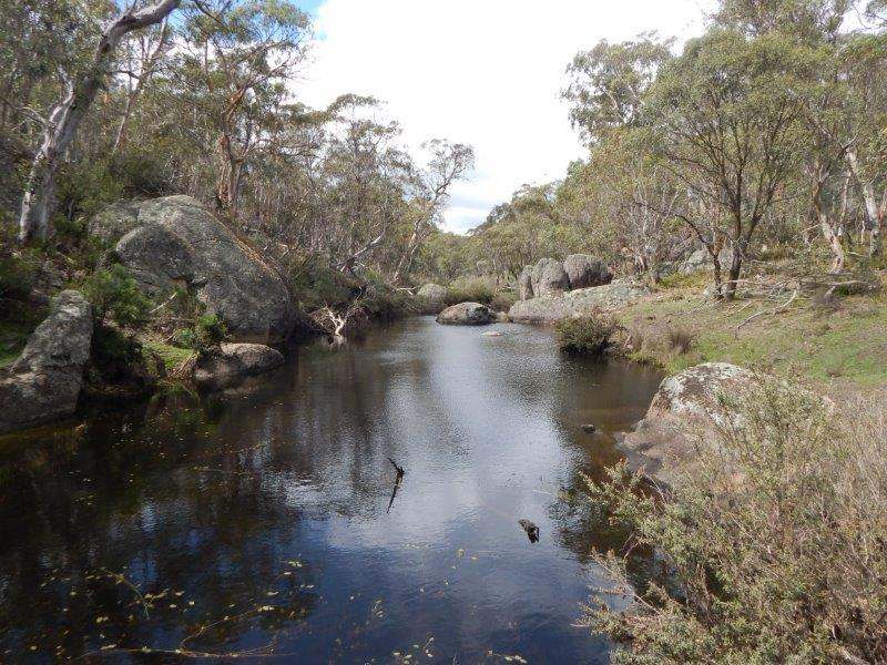 Lot 129 "Greens Creek" Steeple Flat, Nimmitabel Sold by Farmbuy.com - image 14