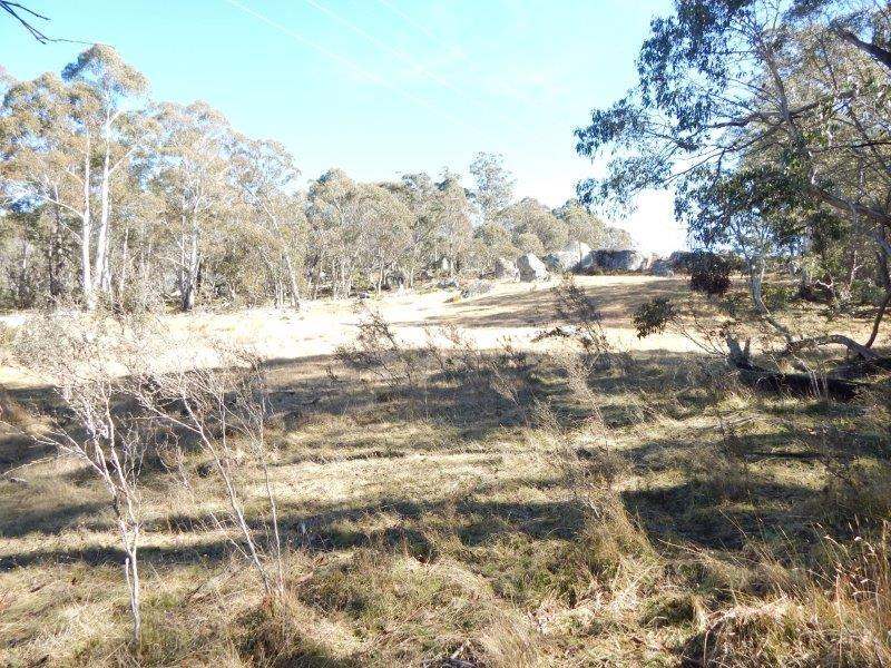 Lot 129 "Greens Creek" Steeple Flat, Nimmitabel Sold by Farmbuy.com - image 2