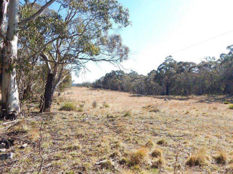 Lot 129 "Greens Creek" Steeple Flat, Nimmitabel Sold by Farmbuy.com - image 16