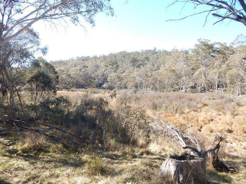 Lot 129 "Greens Creek" Steeple Flat, Nimmitabel Sold by Farmbuy.com - image 3