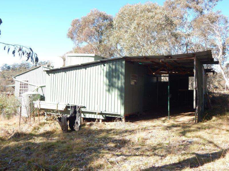 Lot 129 "Greens Creek" Steeple Flat, Nimmitabel Sold by Farmbuy.com - image 10