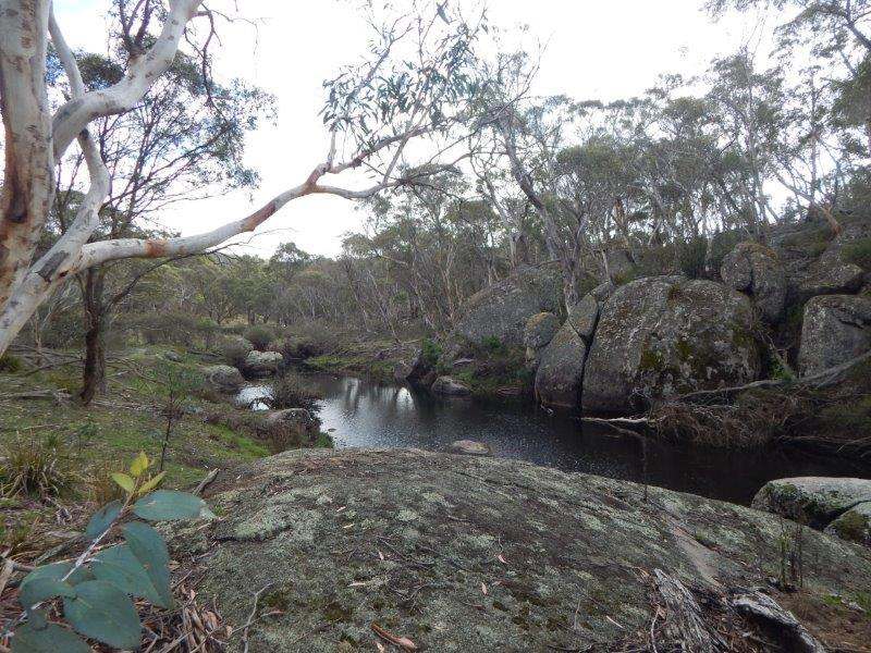 Lot 129 "Greens Creek" Steeple Flat, Nimmitabel Sold by Farmbuy.com - image 15