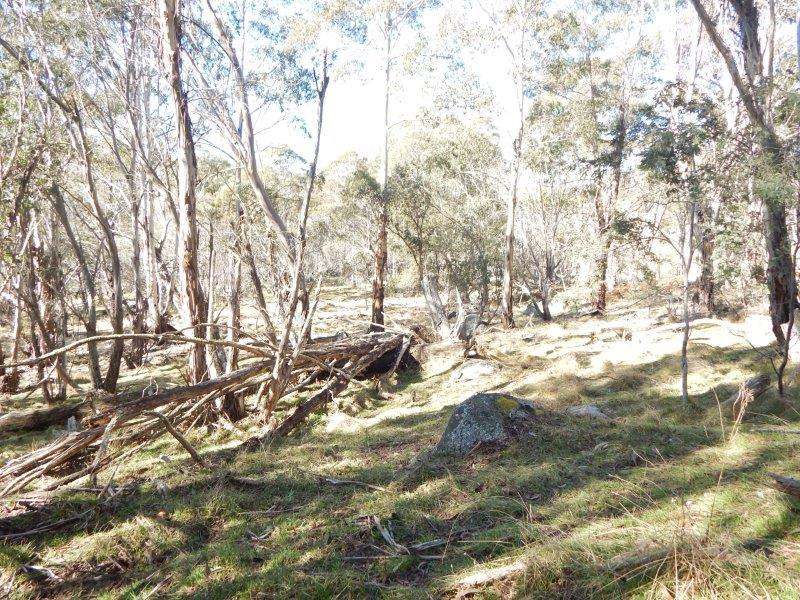 Lot 129 "Greens Creek" Steeple Flat, Nimmitabel Sold by Farmbuy.com - image 12