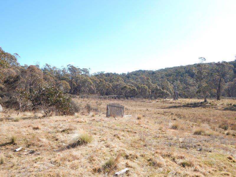 Lot 129 "Greens Creek" Steeple Flat, Nimmitabel Sold by Farmbuy.com - image 5