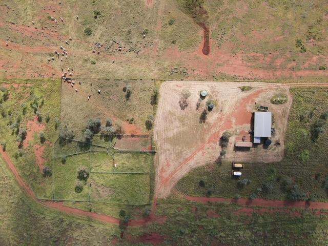 "Theresa Creek" , Clermont  Sold by Farmbuy.com - image 14