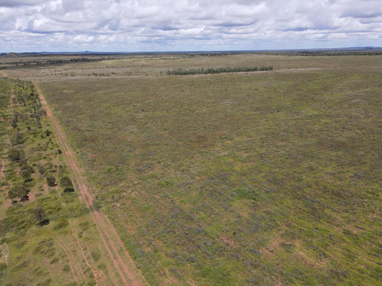 "Theresa Creek" , Clermont  Sold by Farmbuy.com - image 9
