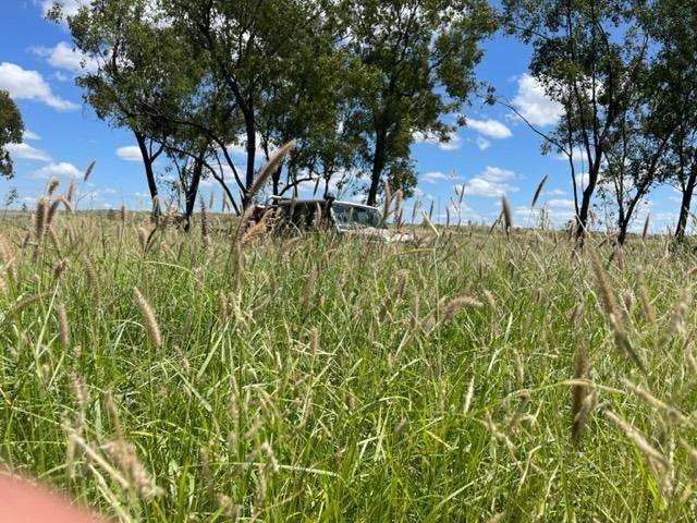 "Theresa Creek" , Clermont  Sold by Farmbuy.com - image 23