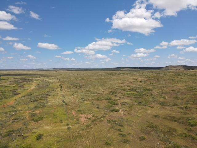 "Theresa Creek" , Clermont  Sold by Farmbuy.com - image 6