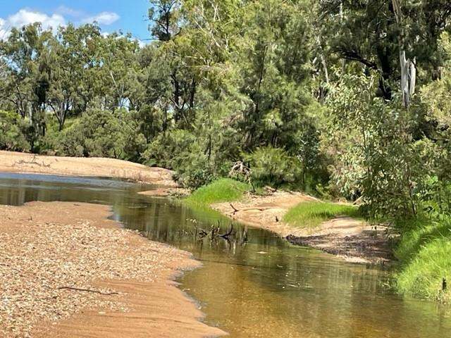 "Theresa Creek" , Clermont  Sold by Farmbuy.com - image 4