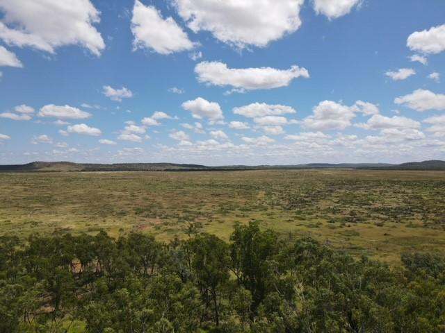 "Theresa Creek" , Clermont  Sold by Farmbuy.com - image 5