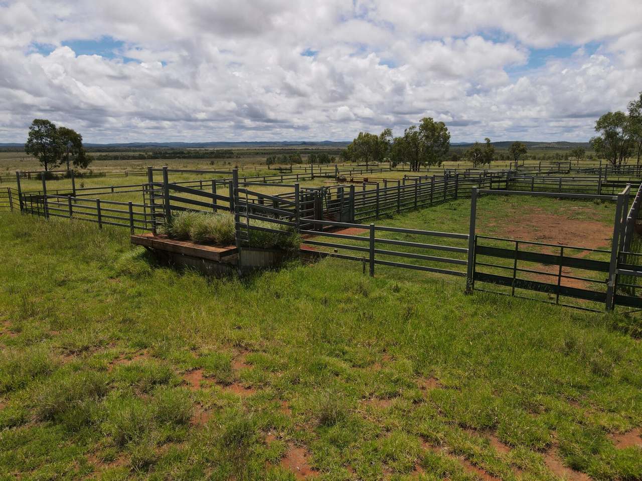 "Theresa Creek" , Clermont  Sold by Farmbuy.com - image 19