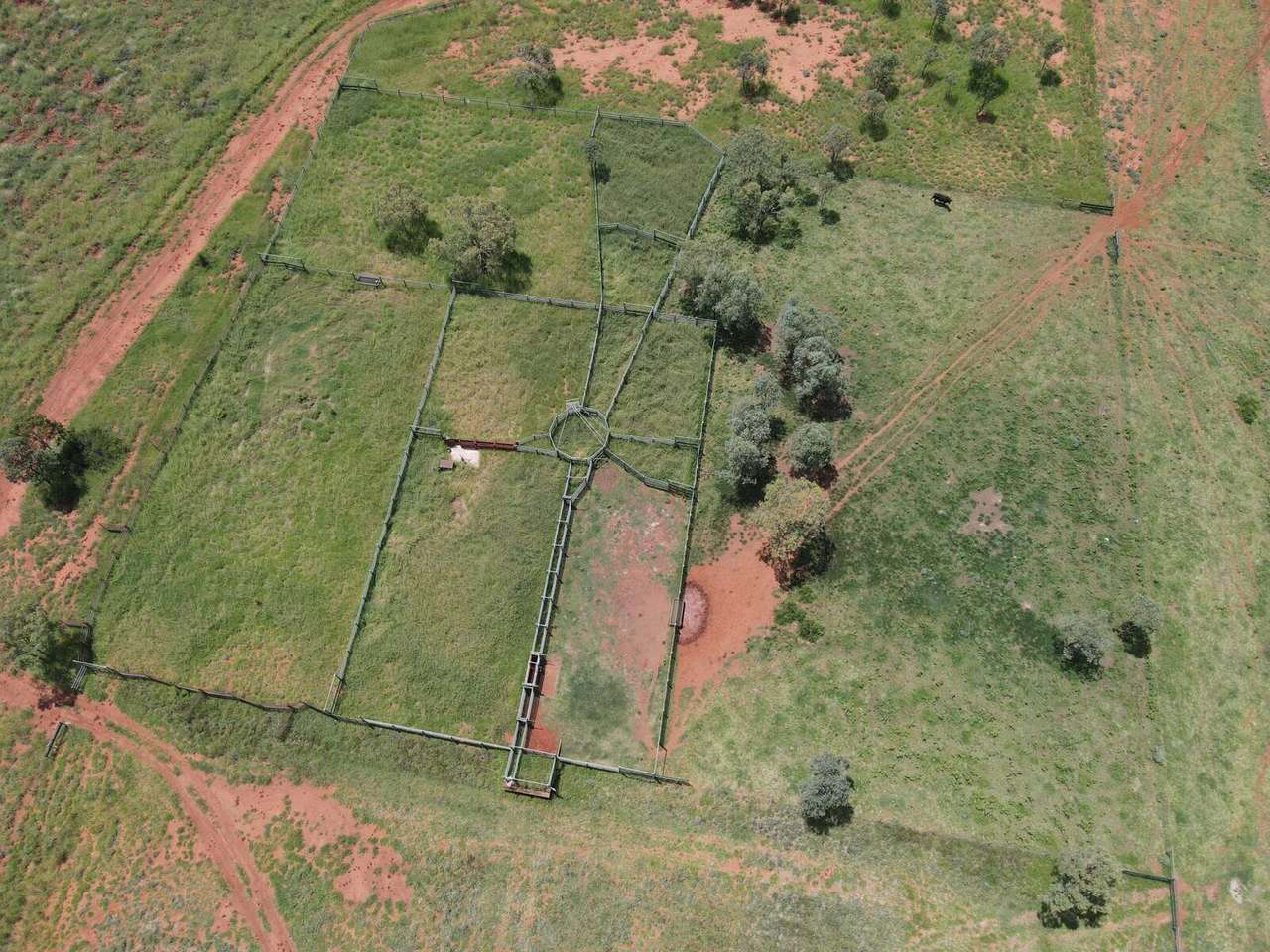 "Theresa Creek" , Clermont  Sold by Farmbuy.com - image 20