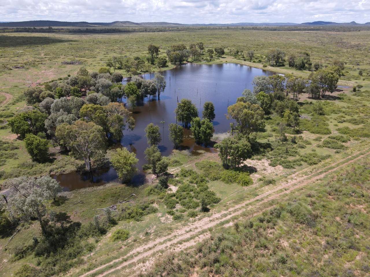 "Theresa Creek" , Clermont  Sold by Farmbuy.com - image 22