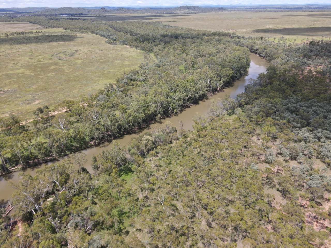 "Theresa Creek" , Clermont  Sold by Farmbuy.com - image 7
