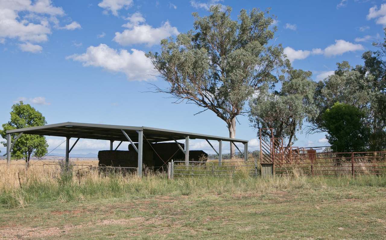 4565 Bundella Road, Blackville Sold by Farmbuy.com - image 17