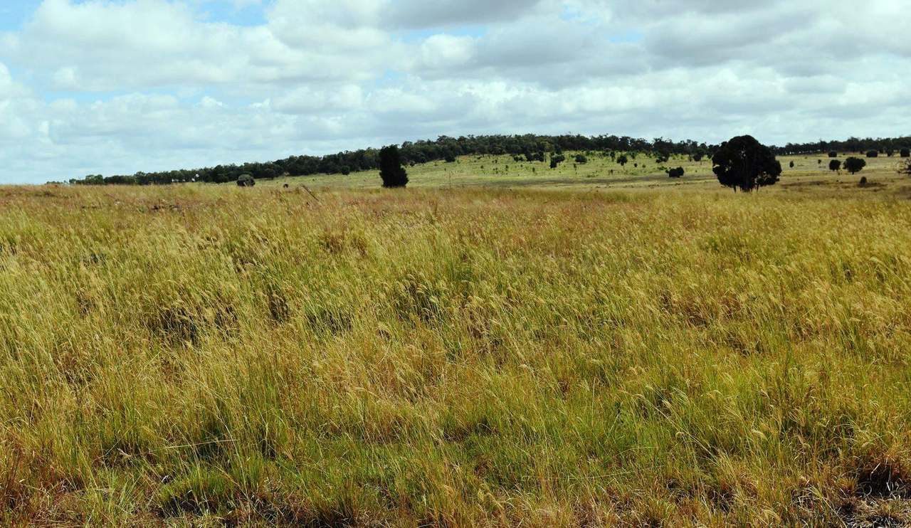 6058 Defence Road, Cracow Sold by Farmbuy.com - image 12
