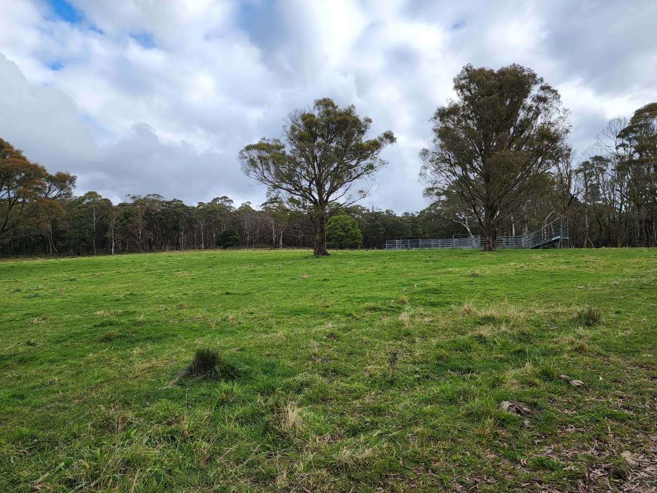 Hampton Sold by Farmbuy.com - image 12