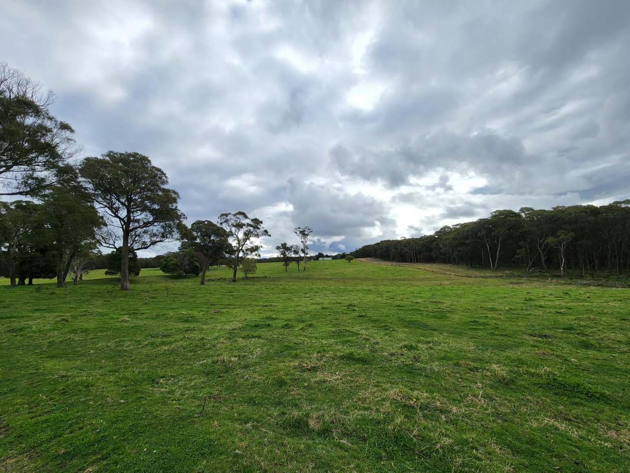 Hampton Sold by Farmbuy.com - image 2